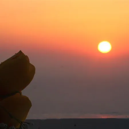 Hellas 2* Fira (Santorini)